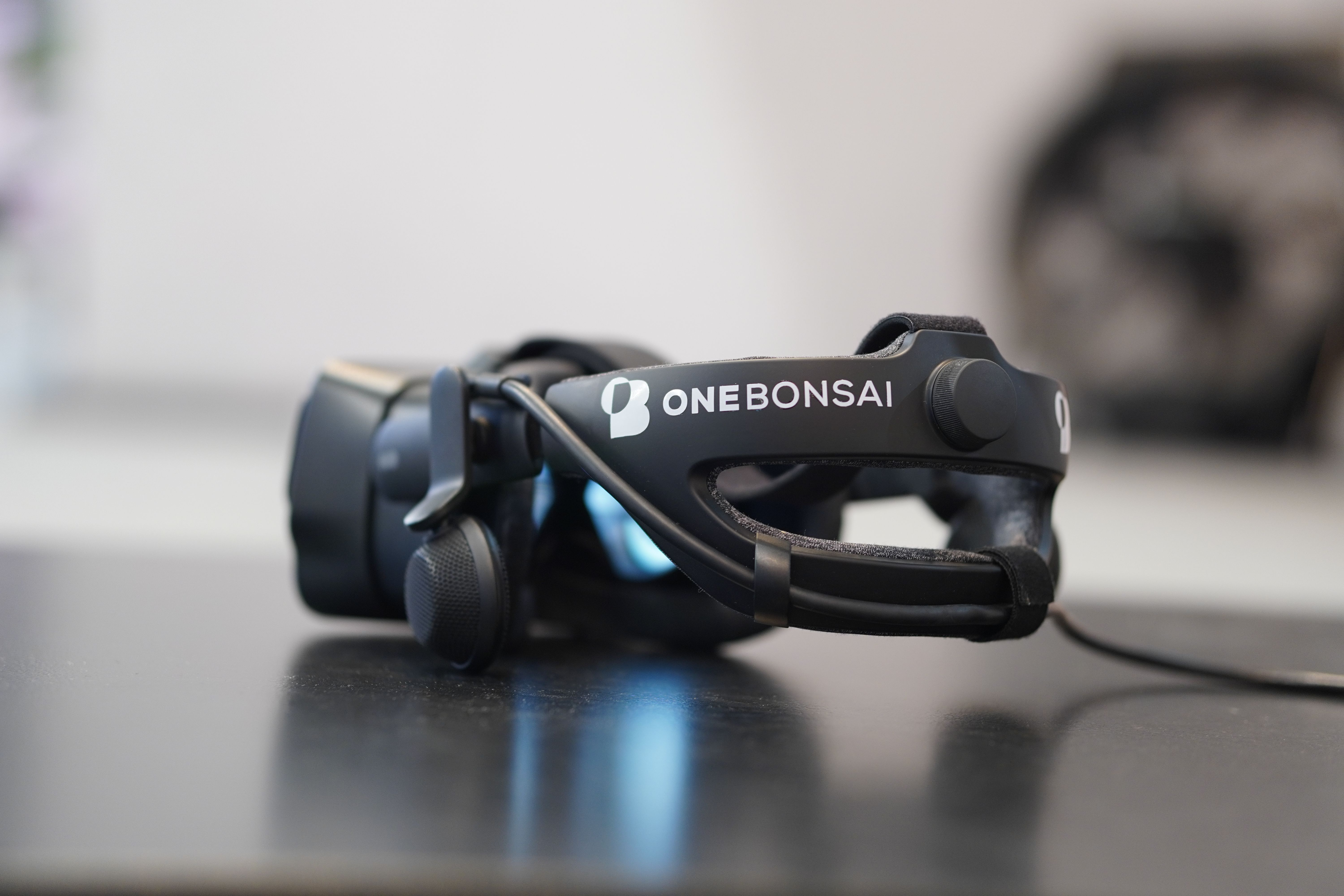 OneBonsai VR Training